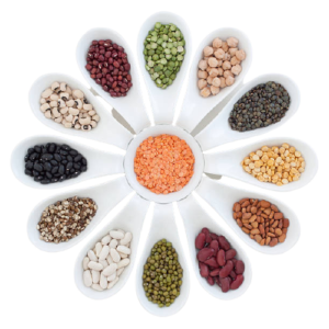 Sun Agro Foods Favicon